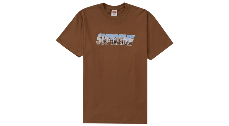 Supreme Gotham Tee Light Brown (FW23)