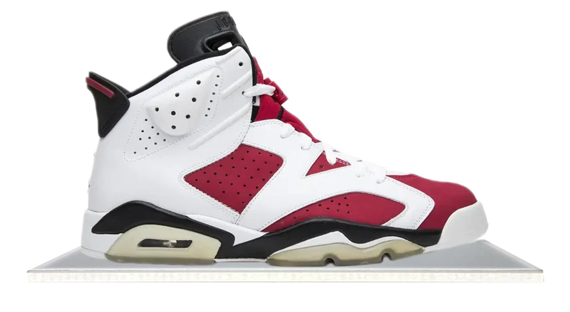 Air Jordan 6 Retro Carmine CDP (2008)