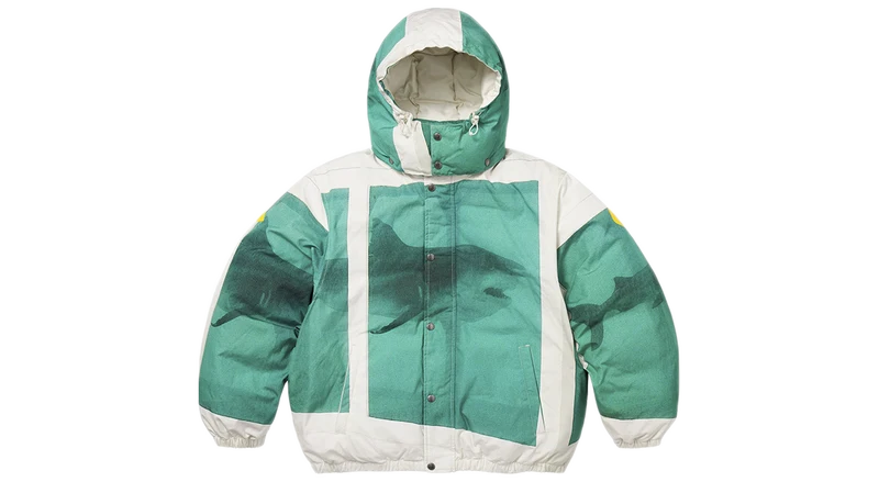 Supreme x Damien Hirst Down Puffer Jacket