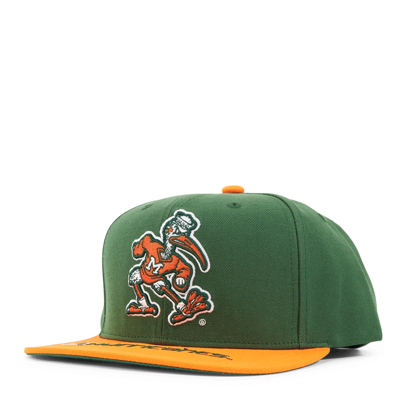 Logo Bill Snapback
