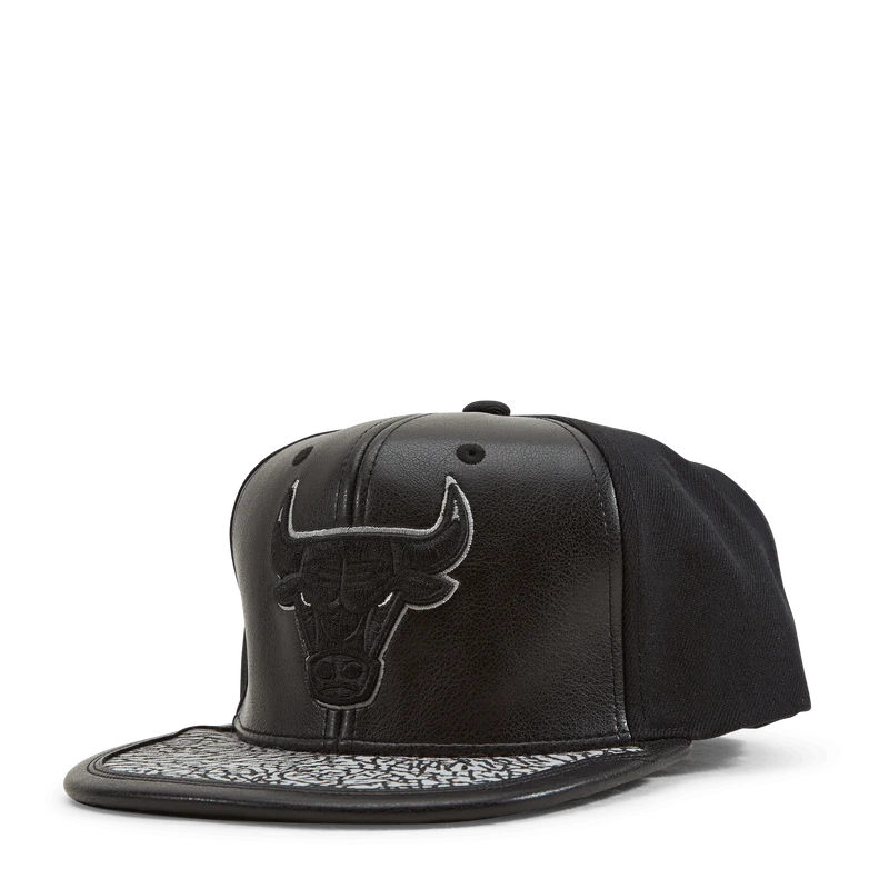 Bulls Day 1 Snapback