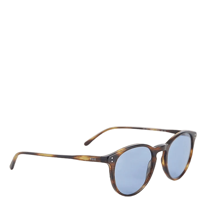 Polo Ralph Lauren Stripped Havana
