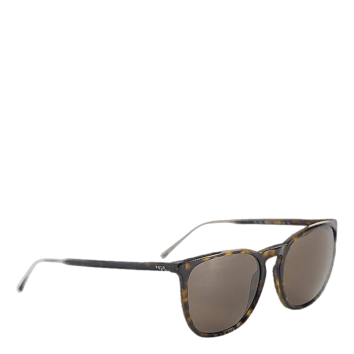 Polo Ralph Lauren 0ph4141 500373 Dark Havana