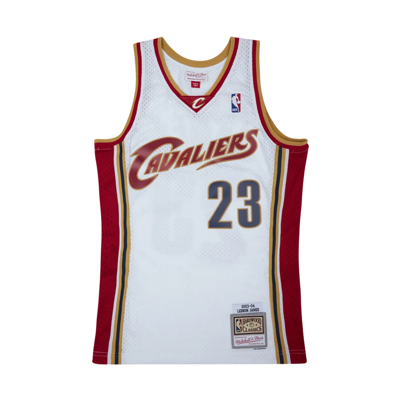 Swingman Jersey - LeBron James