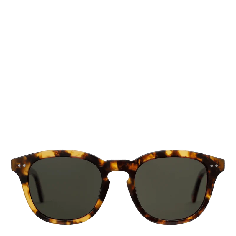 Sydney Tortoise Havana