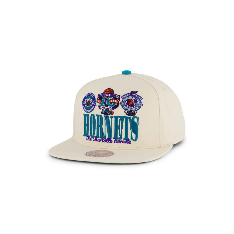 Hornets Reframe Retro Snapback HWC