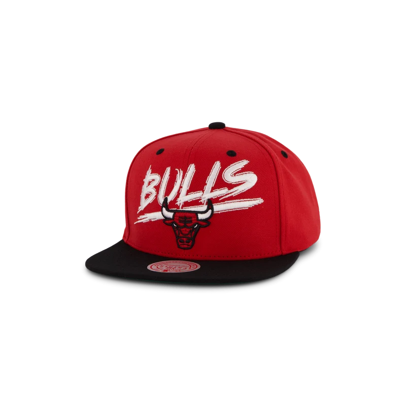 Bulls Transcript Snapback