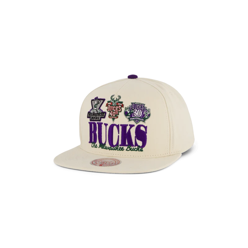 Bucks Reframe Retro Snapback HWC