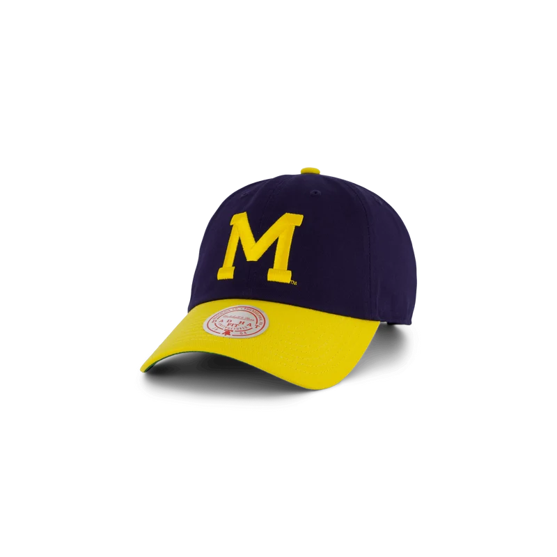 Wolwerines Team 2 Tone 2.0 Dad Strapback
