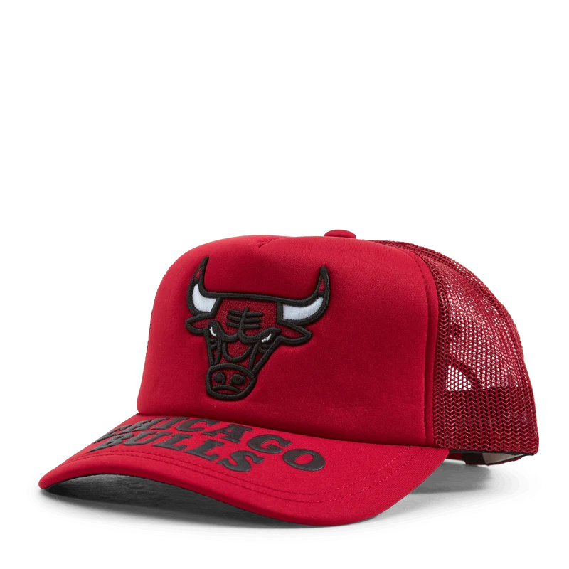 Bulls Puff The Magic Trucker HWC