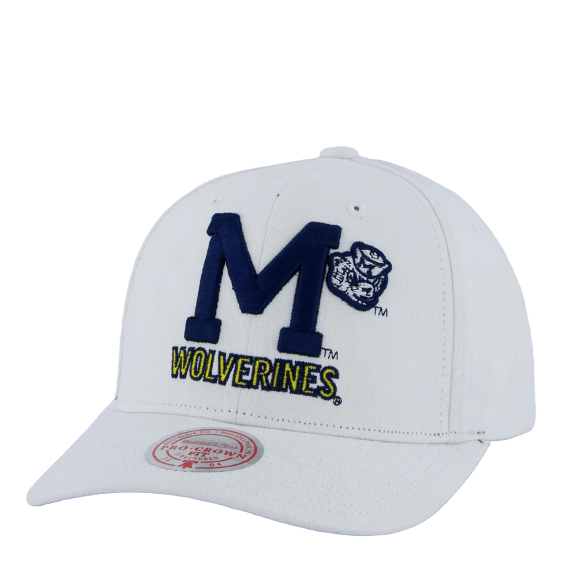 Wolverines All In Pro Snapback