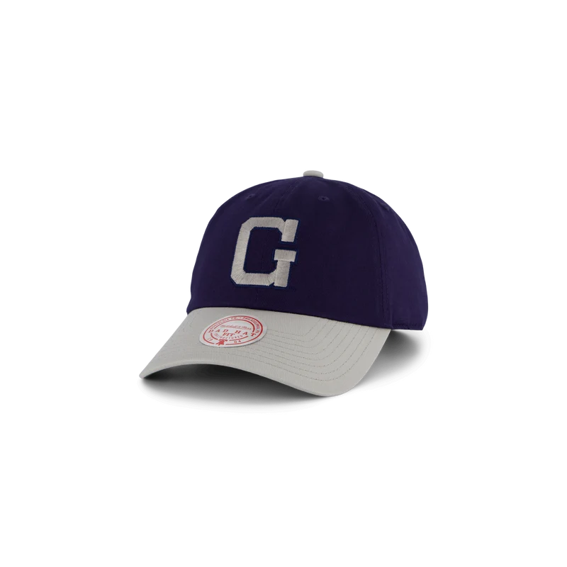 Hoyas Team 2 Tone 2.0 Dad Strapback