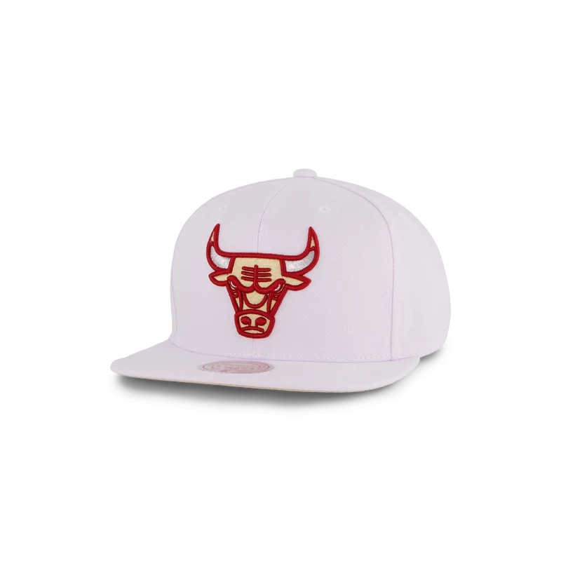 Bulls Winter Snapback