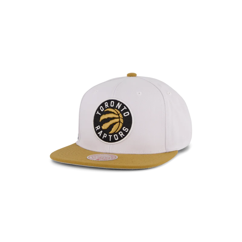 Raptors Side Core 2.0 Snapback