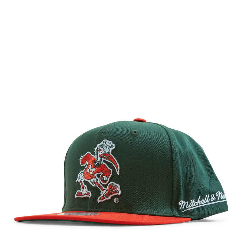 Back In Action Snapback