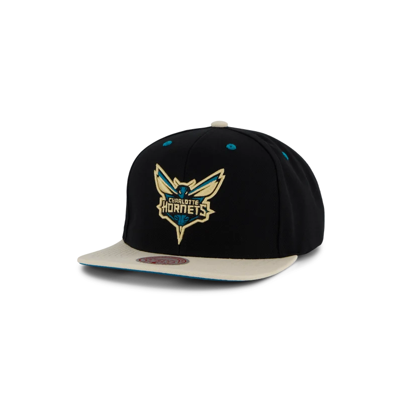 Hornets Pin Drop Snapback
