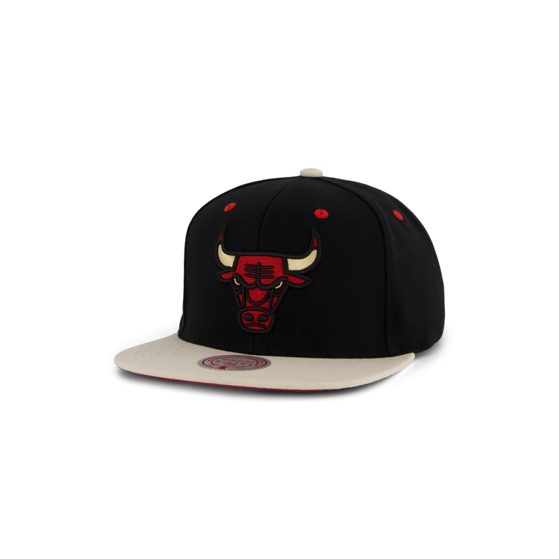 Bulls Pin Drop Snapback