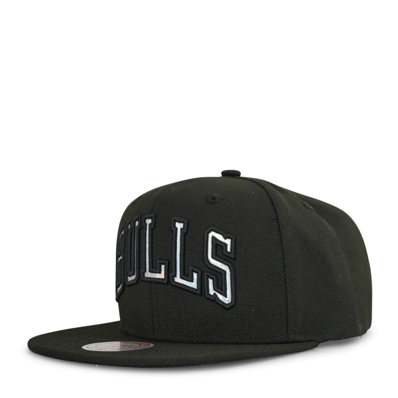 Bulls Iridescent Wordmark Snapback