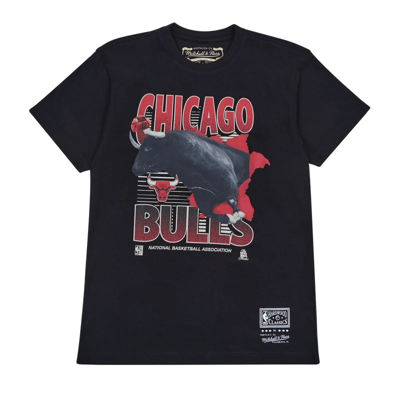 Bulls Scenic Tee