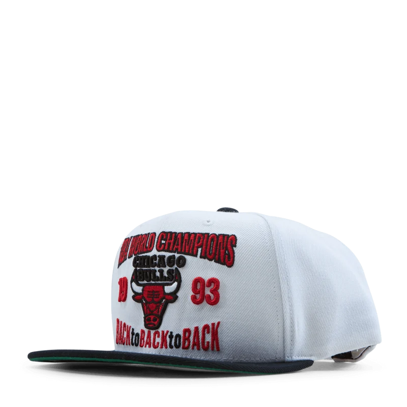 Bulls Back To 93 Snapback