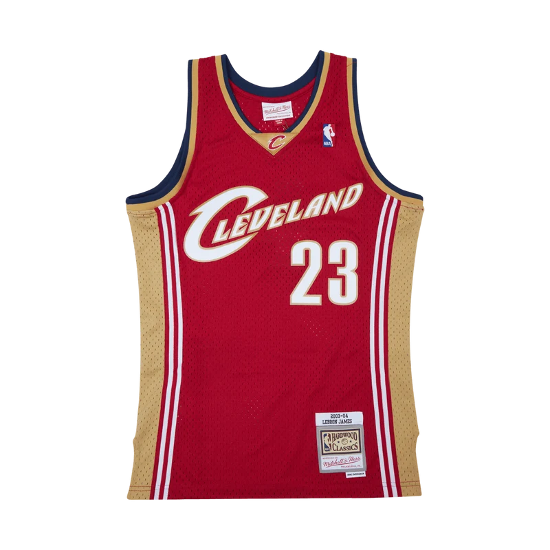 Swingman Jersey - LeBron James