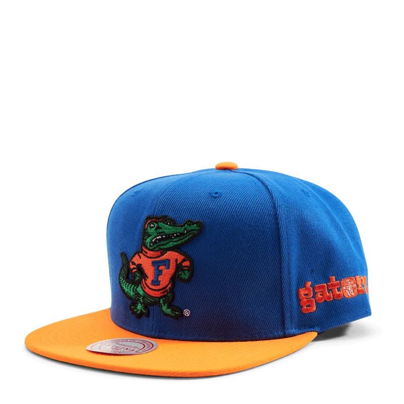 Gators Team Origins Snapback